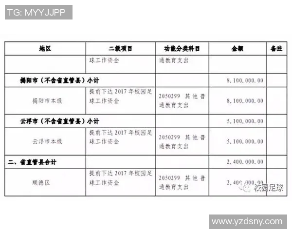 足球队预算表详解及优化策略探讨助力球队财务健康与竞技水平提升