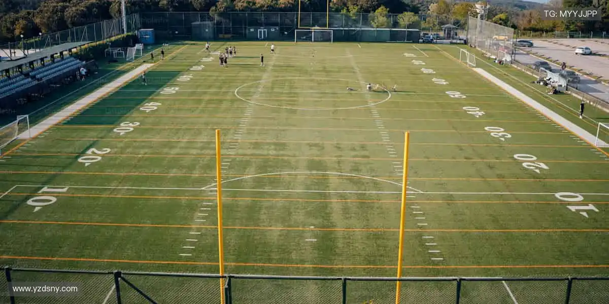 🚀⚾️ 赛事巅峰，热血沸腾！