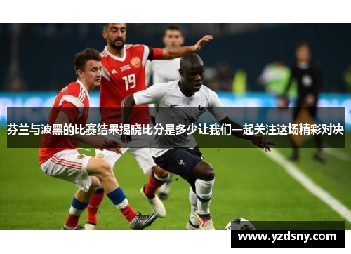 芬兰与波黑的比赛结果揭晓比分是多少让我们一起关注这场精彩对决